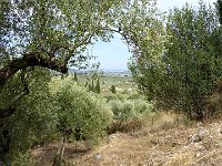 foto 004